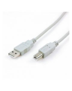 CABLE XTECH XTC-302 6FT USB 2.0