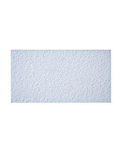 Lamina de PVC para Cielo Raso Color Blanco 1.20 x 0.60 m - ARTIPLAN