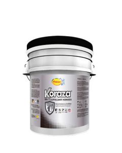 PINTURA KORAZA BLANCO 05GL