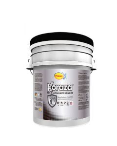 PINTURA KORAZA SOL Y LLUVIA BASE ACCEN 5GL